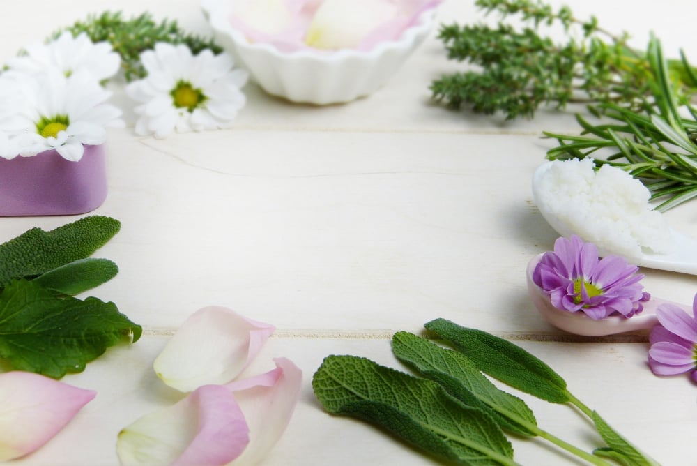 Healing Foods and Herbs 